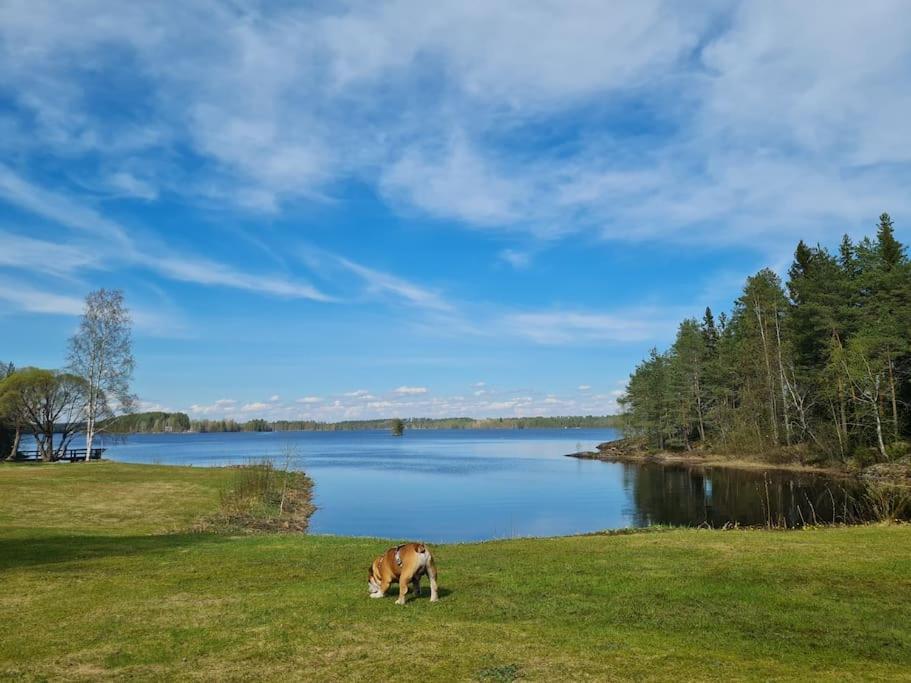 Nauti Luonnon Rauhasta Jataniemen Uittotuvassa. Holiday home *